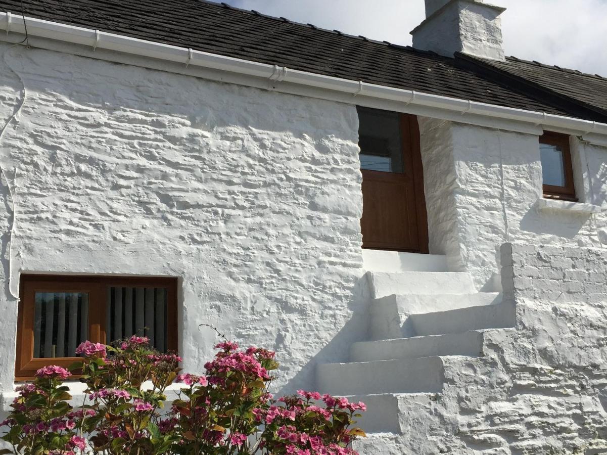 Little Barn Cottage ニューポート エクステリア 写真